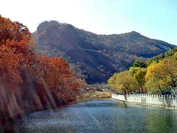 湛江霞山義烏，巷弄深處的驚喜小店最新動(dòng)態(tài)