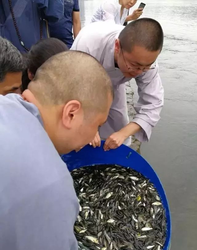 LED光源 第383頁(yè)