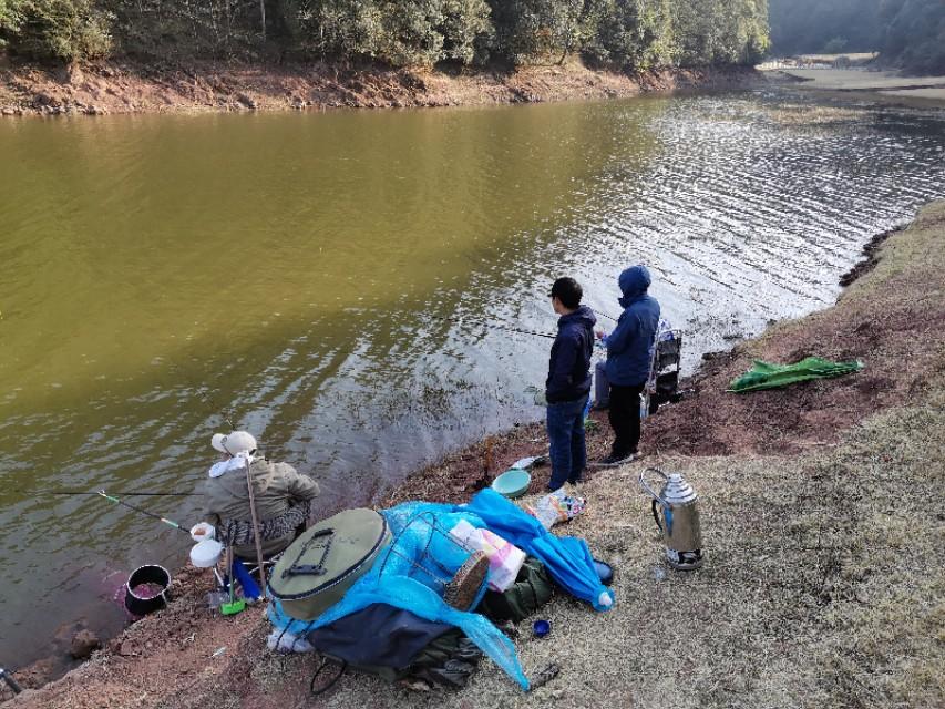最新水庫釣魚(yú)視頻，探索釣魚(yú)樂(lè )趣與技巧全攻略