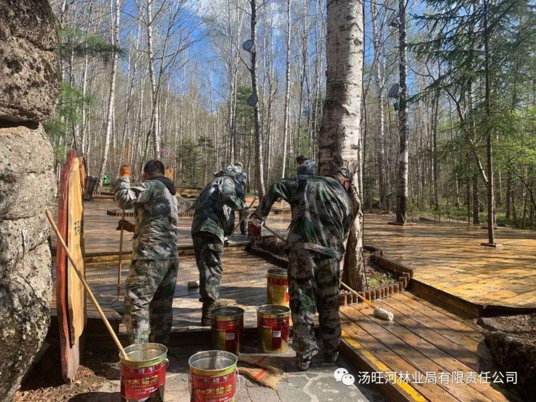 探尋神秘寶石世界的獨特魅力，最新奇石新聞報道