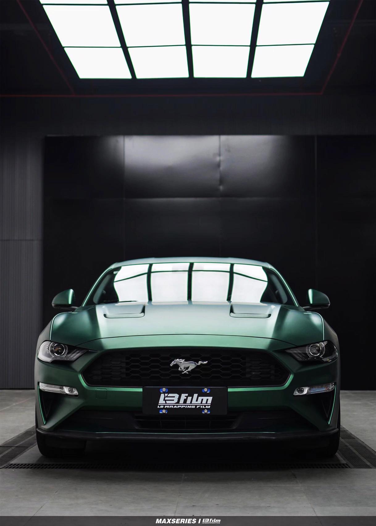 最新野馬汽車(chē)，技術(shù)革新與市場(chǎng)競爭的展現