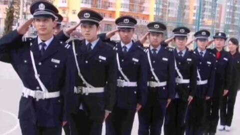 寧國最新保安招聘及其探討，行業(yè)現狀與發(fā)展趨勢分析