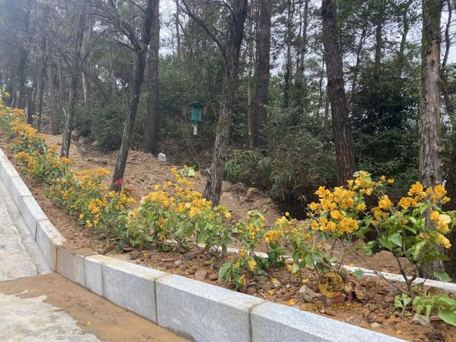 桂平手工，傳統與創(chuàng  )新的完美交融