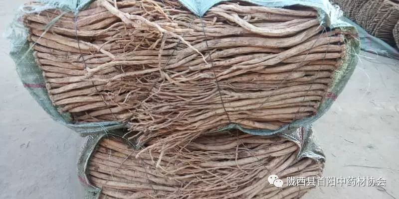 渭源黨參干貨最新價(jià)格及獲取指南，了解黨參干貨價(jià)格走勢與行情分析