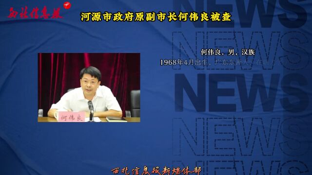 何偉良最新任免揭曉，日常故事中的溫馨轉折
