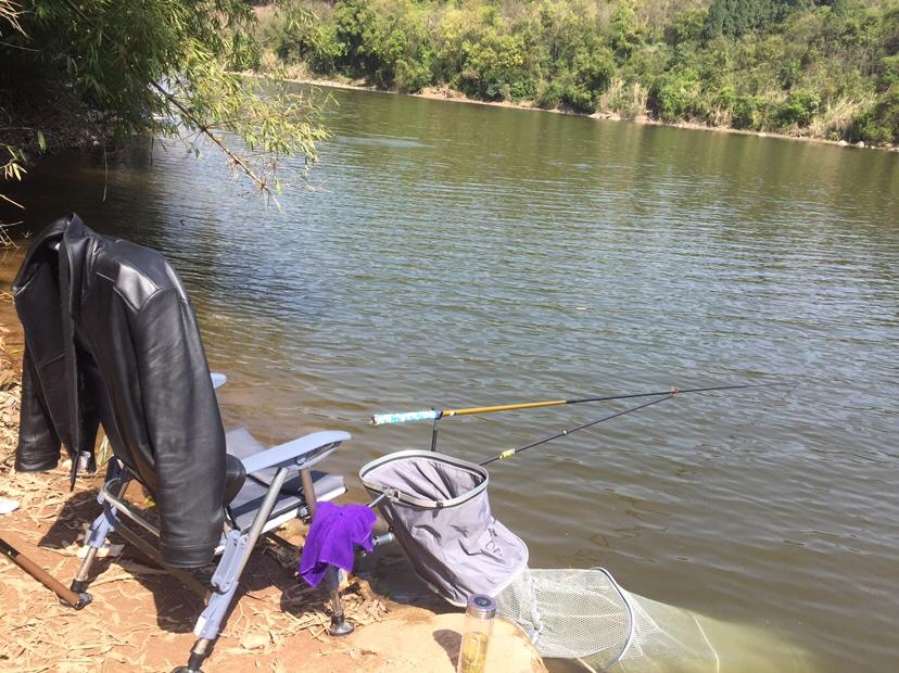 山門(mén)寺水庫釣魚(yú)最新指南，垂釣攻略與技巧分享