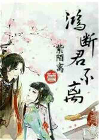 沈南汐最新小說(shuō)，知識的力量，成就夢(mèng)想的翅膀之路