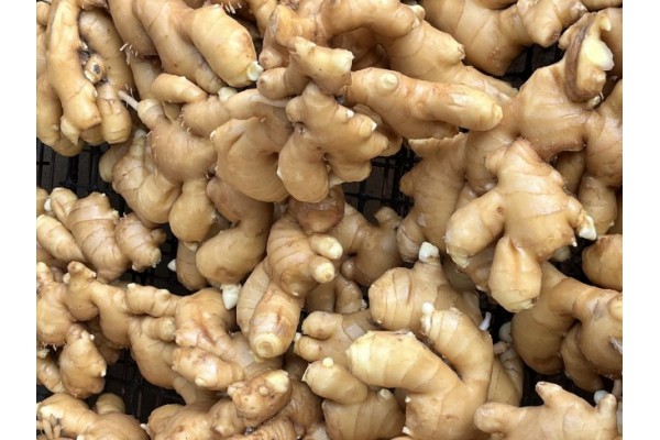 昌邑生姜市場(chǎng)最新價(jià)格指南，全面了解生姜市場(chǎng)行情與價(jià)格動(dòng)態(tài)
