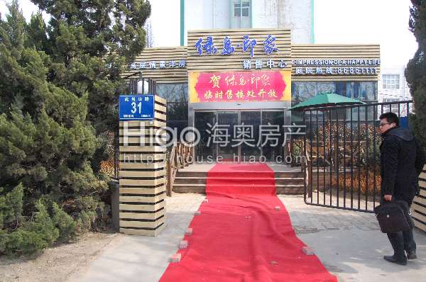 青島大洋花園最新動(dòng)態(tài)，科技重塑未來(lái)花園的極致體驗