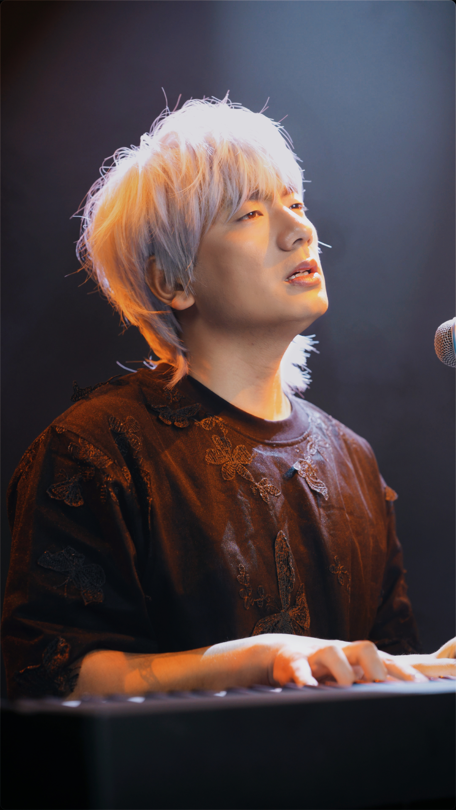 冷漠2024最新預告新歌，音樂(lè )與時(shí)代交融的期待之聲