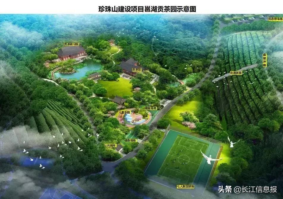 岳陽(yáng)北港小學(xué)最新動(dòng)態(tài)揭秘，校園新聞與活動(dòng)更新