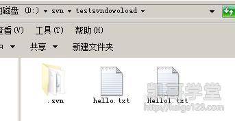 Jav最新網(wǎng)址探索，小巷深處的獨特風(fēng)味之旅