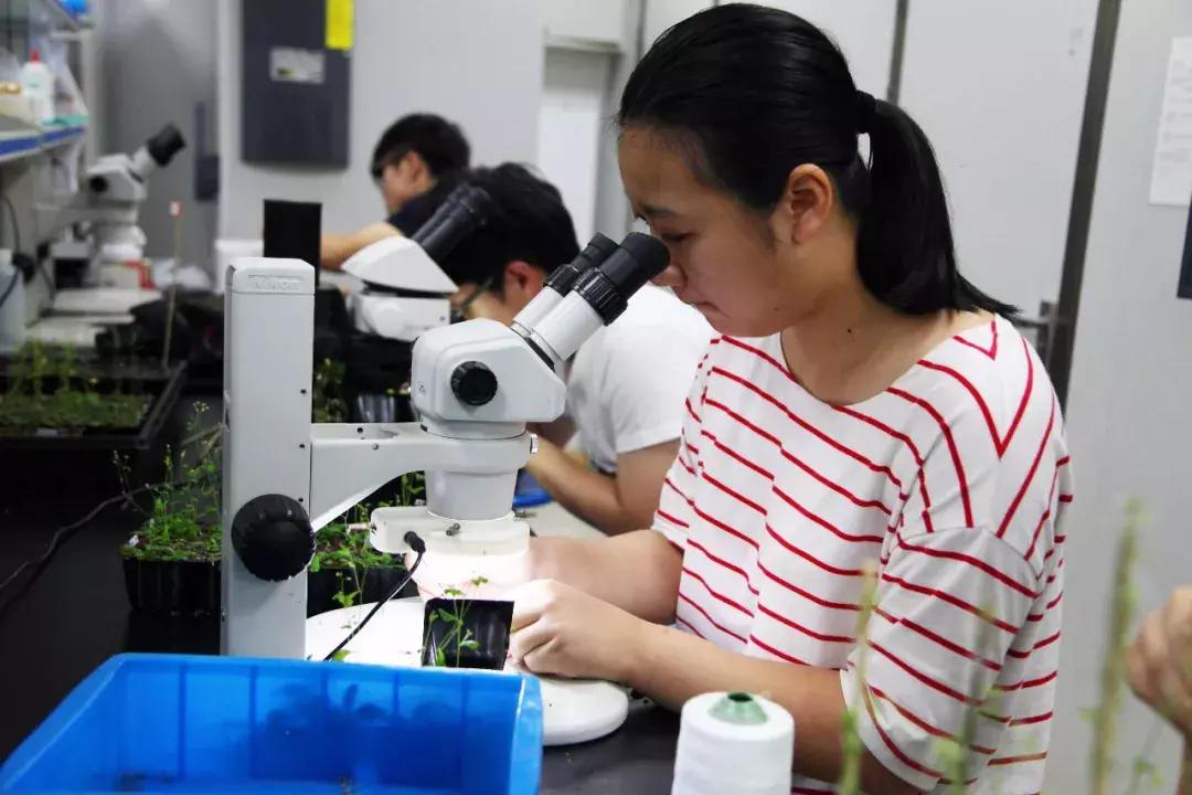 最新學(xué)科評估,最新學(xué)科評估引領(lǐng)科技革新——未來(lái)生活觸手可及的高科技產(chǎn)品介紹