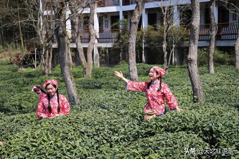 關(guān)于皇后直播探索獨特魅力小店的直播內容探討與下載指南