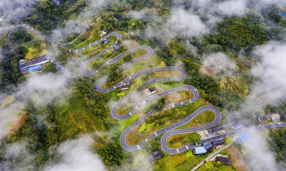 奉節云霧鄉的最新動(dòng)態(tài)與溫馨日常，云霧中的快樂(lè )時(shí)光