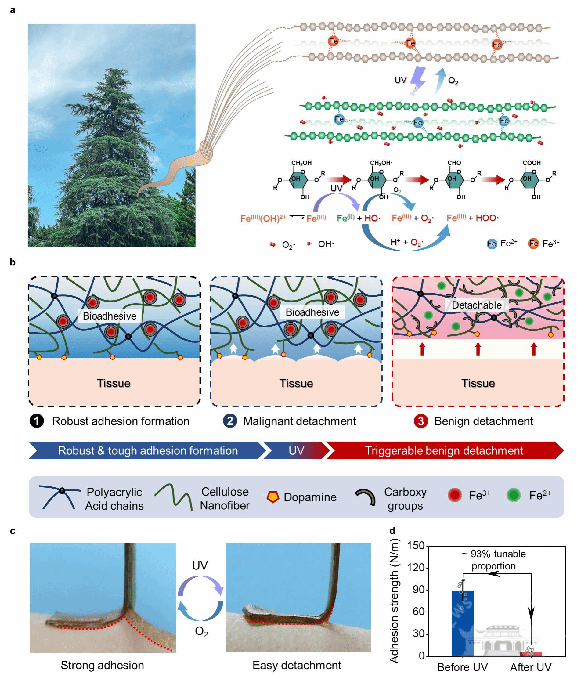 2024新澳門(mén)原料免費大全,創(chuàng  )新策略設計_硬件版77.555