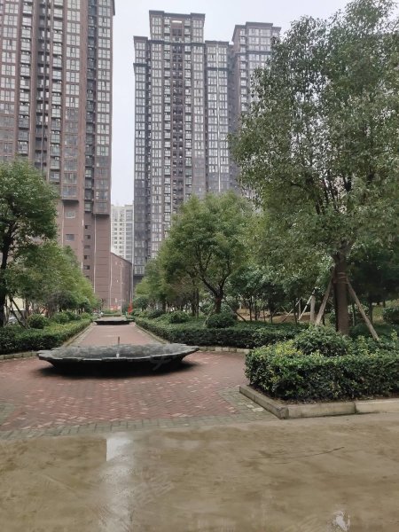 南陽(yáng)盛世御苑最新動(dòng)態(tài)揭秘，全面指南與步驟詳解