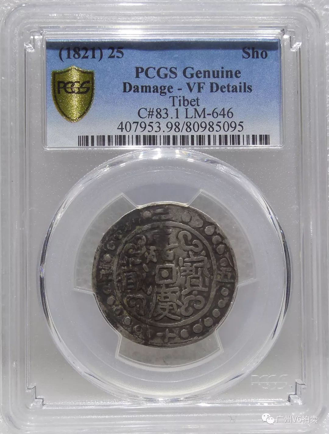 澳門(mén)精準12碼中特,最新研究解讀_遠光版13.570