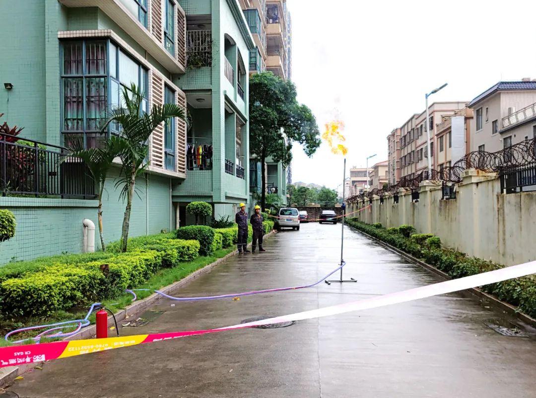 中山東鳳佛奧最新動(dòng)態(tài)，自然美景的探索之旅，尋找內心平和與寧靜