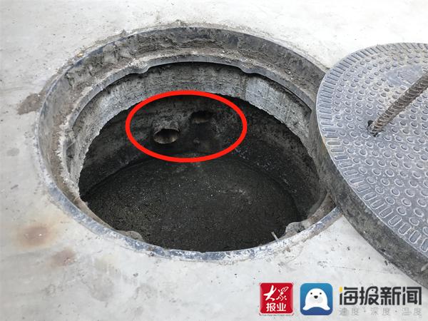 福建臺幫幫團最新一期揭秘，小巷深處的隱藏美食瑰寶