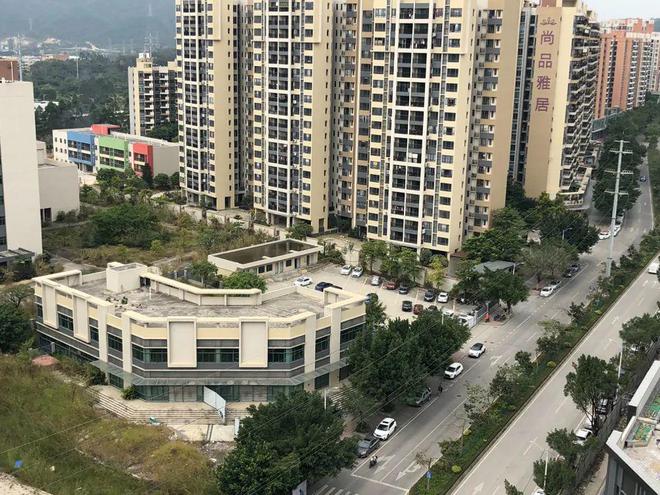 膠南山水雅居最新動(dòng)態(tài)，鄰里日常趣事與情感紐帶分享