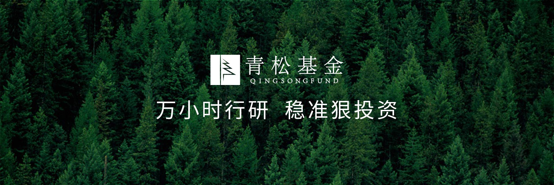 長(cháng)青樹(shù)眾籌最新動(dòng)態(tài)，背景、發(fā)展與時(shí)代地位探索