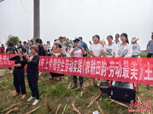 桃源木塘垸鄉新動(dòng)態(tài)，趣事連連，真摯友情綻放鄉間