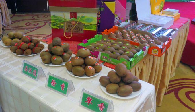 嘉興對接上海最新進(jìn)展，城市崛起中的自信與成就感展現新面貌