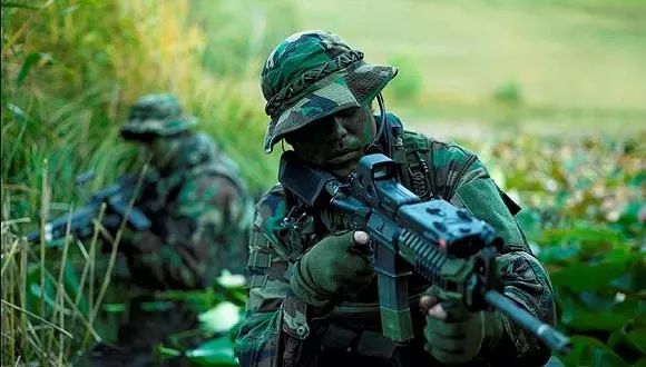 特種部隊小組最新版本，時(shí)代背景下的英勇先鋒