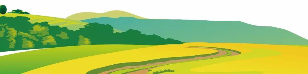 藍田縣未來(lái)藍圖，最新發(fā)展規劃揭秘