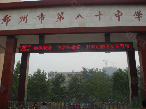中原區九龍城最新動(dòng)態(tài)深度解析，最新進(jìn)展與觀(guān)點(diǎn)闡述