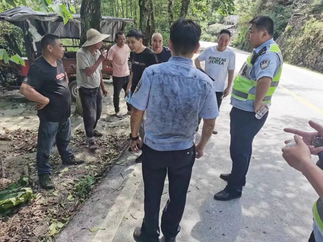 慶元最新事件，引領(lǐng)科技潮流的高科技產(chǎn)品揭秘