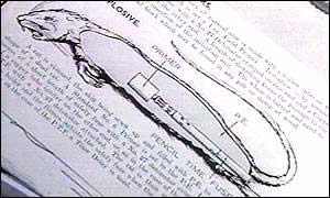 美國填尸最新進(jìn)展，高科技重塑生活，未來(lái)科技魅力體驗