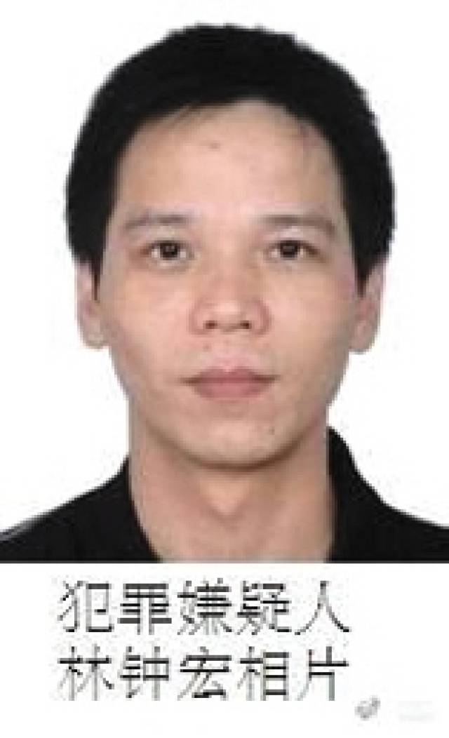 張宸案最新進(jìn)展，城市生活的溫馨日常關(guān)注