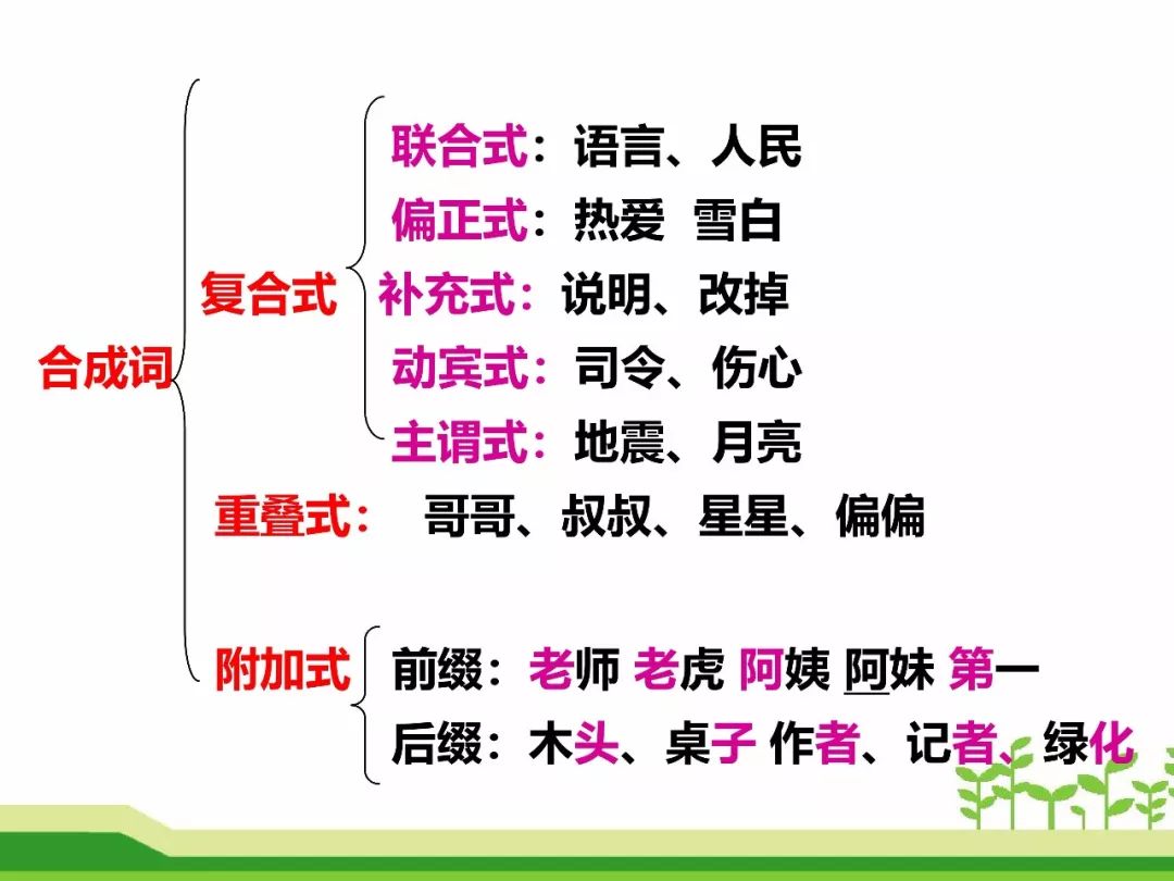 最新合成詞，語(yǔ)言發(fā)展的微觀(guān)視角探索