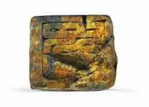 余厚蜀最新動(dòng)態(tài)，科技前沿探索與行業(yè)創(chuàng  )新引領(lǐng)