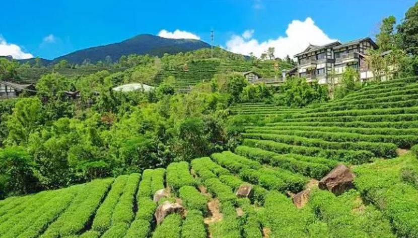 深圳驚喜活動(dòng)溫情之旅，日常中的特別瞬間