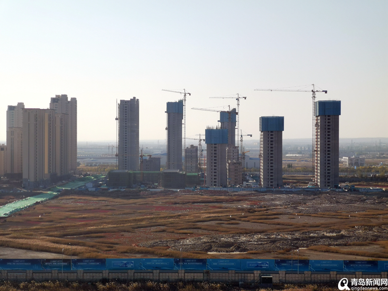 青島最新項目啟航新征程，自信成就夢(mèng)想之路