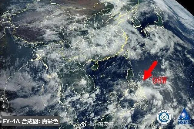 臺風(fēng)鸚鵡的最新動(dòng)態(tài)，逆風(fēng)翱翔的力量與學(xué)習魅力