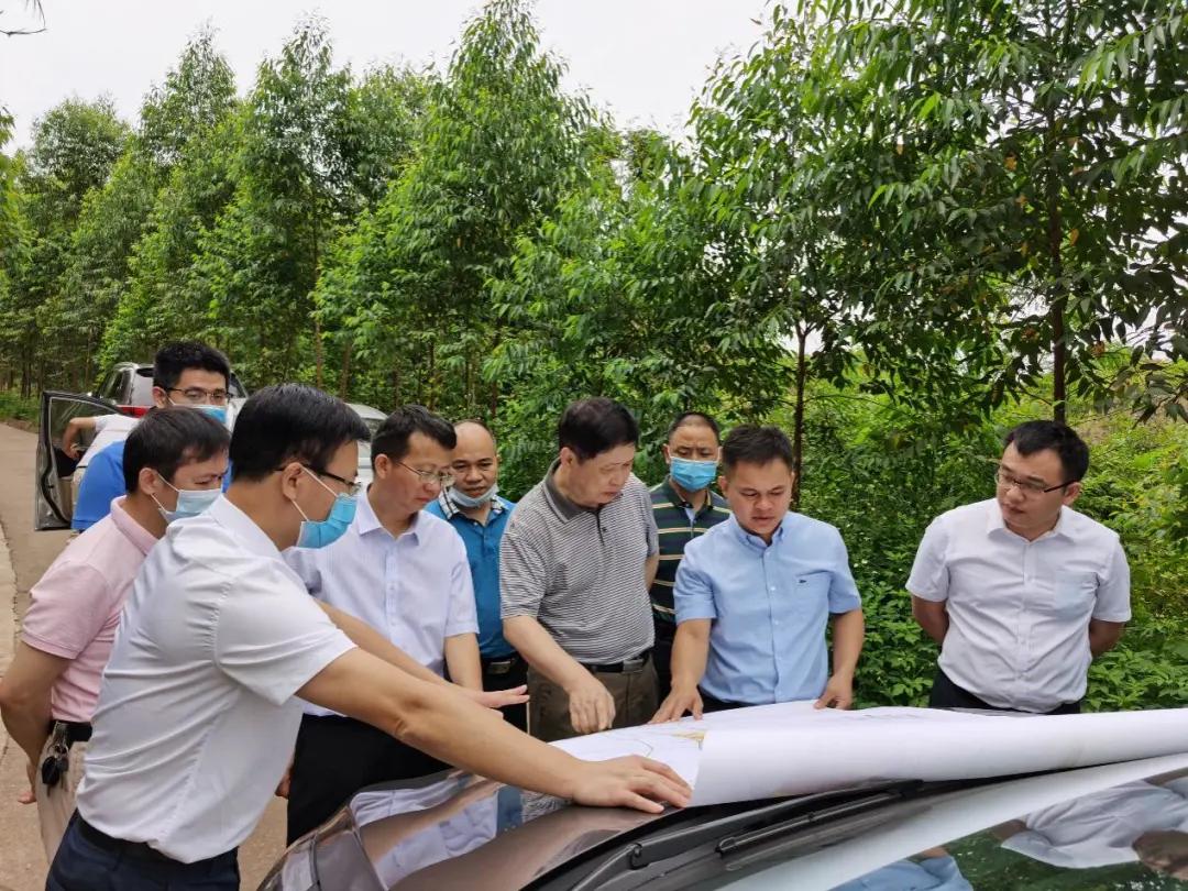 南寧龍象谷最新資訊，游玩指南與技能學(xué)習步驟全解析