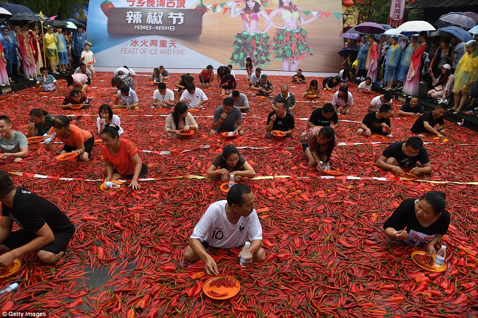 吃辣椒比賽完全攻略，從入門(mén)到進(jìn)階的指南