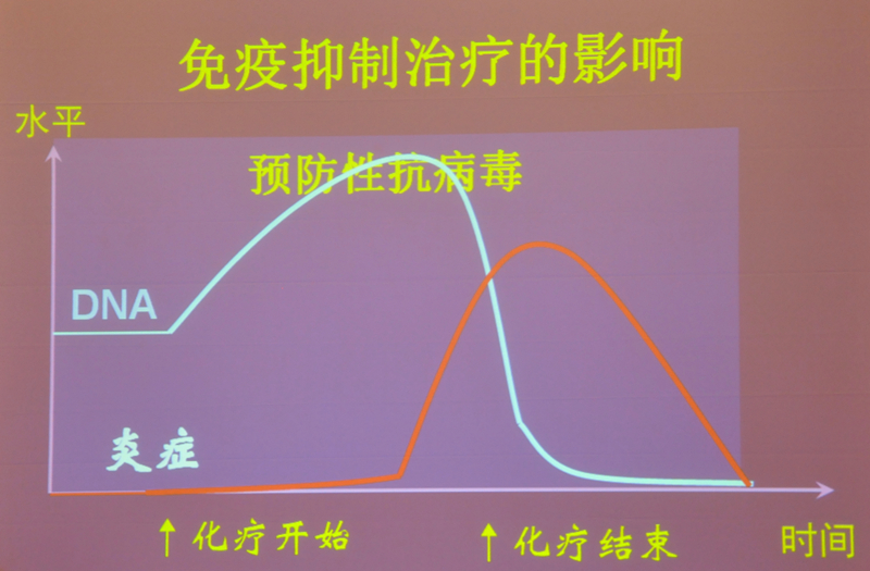 肝炎新進(jìn)展揭秘，小巷深處的秘密小店探索