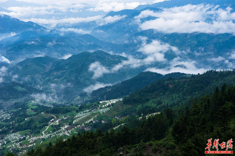 雪峰山資訊，一段溫馨有趣的探索之旅
