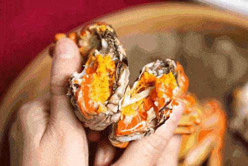 ??陽(yáng)澄湖螃蟹上市季節情報，吃貨必知的秋季美味盛宴！??