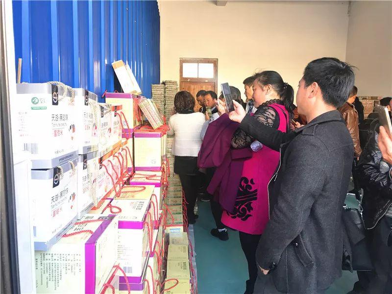 最新職業(yè)資訊，洞悉行業(yè)趨勢與人才需求洞察