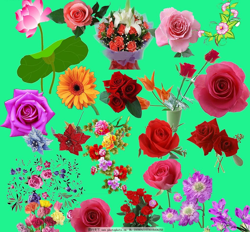 最新花款下載，愛(ài)與陪伴的溫馨之旅