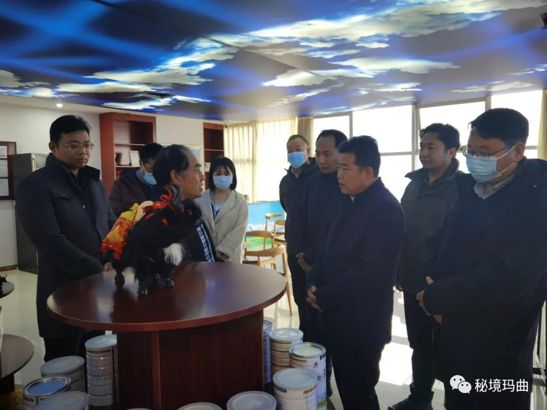 高原之寶上市，學(xué)習、蛻變與自信的輝煌之旅