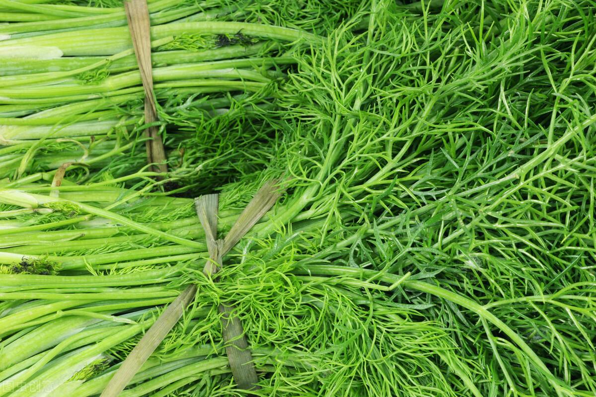 茴香價(jià)格動(dòng)態(tài)，香氣變化與你的關(guān)聯(lián)