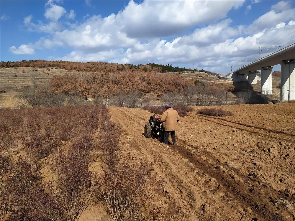 揭秘衡陽(yáng)張家山規劃更新，小巷風(fēng)情與隱藏小店的獨特魅力