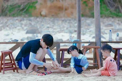 最新TV版資訊深度剖析，電視劇熱潮的影響力與影響